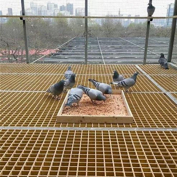 信鸽养殖玻璃钢格栅